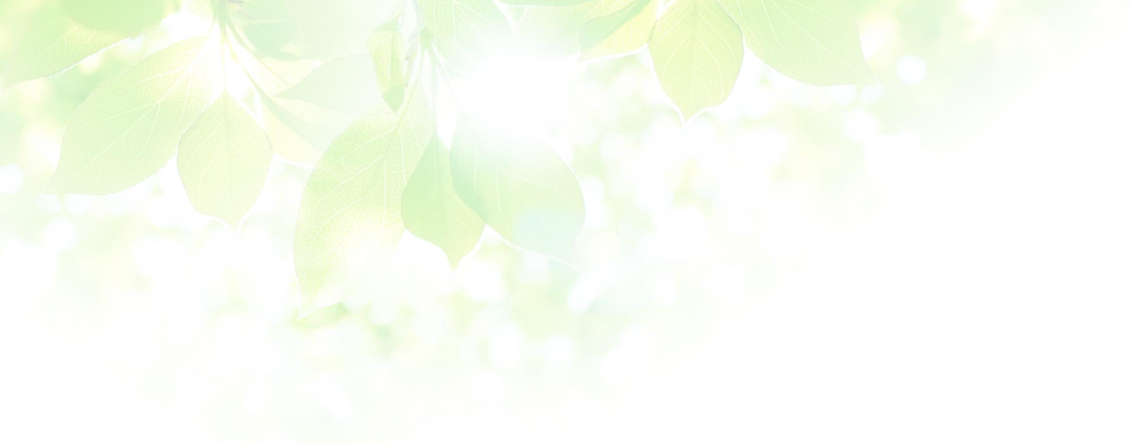 背景：代表メッセージ