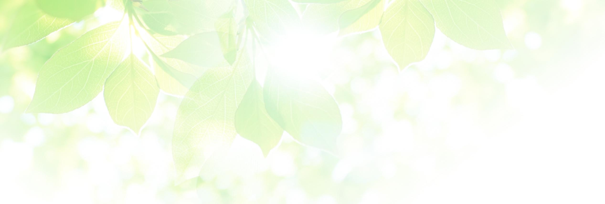 背景：お問い合わせ