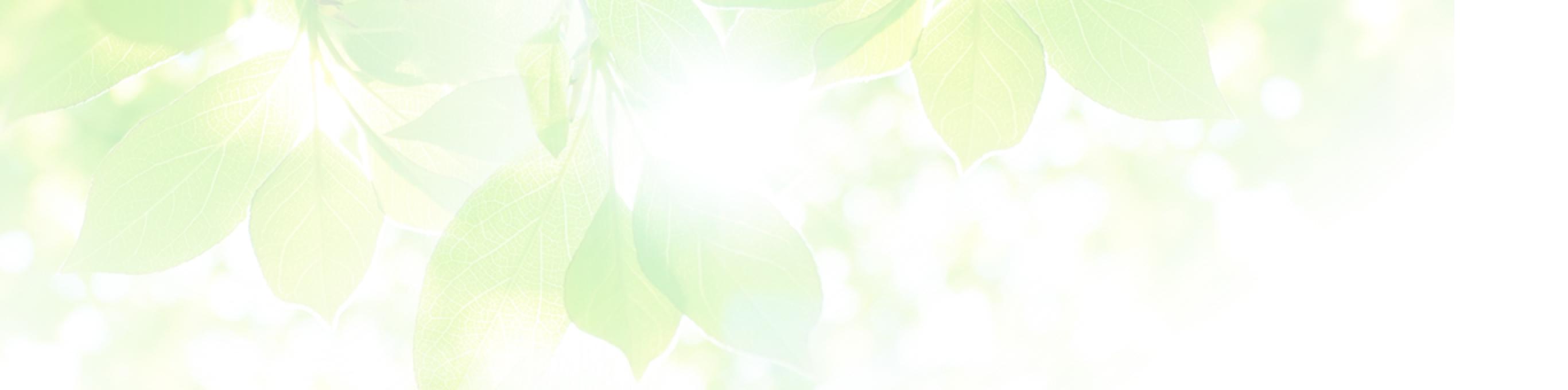 背景：会員情報一覧