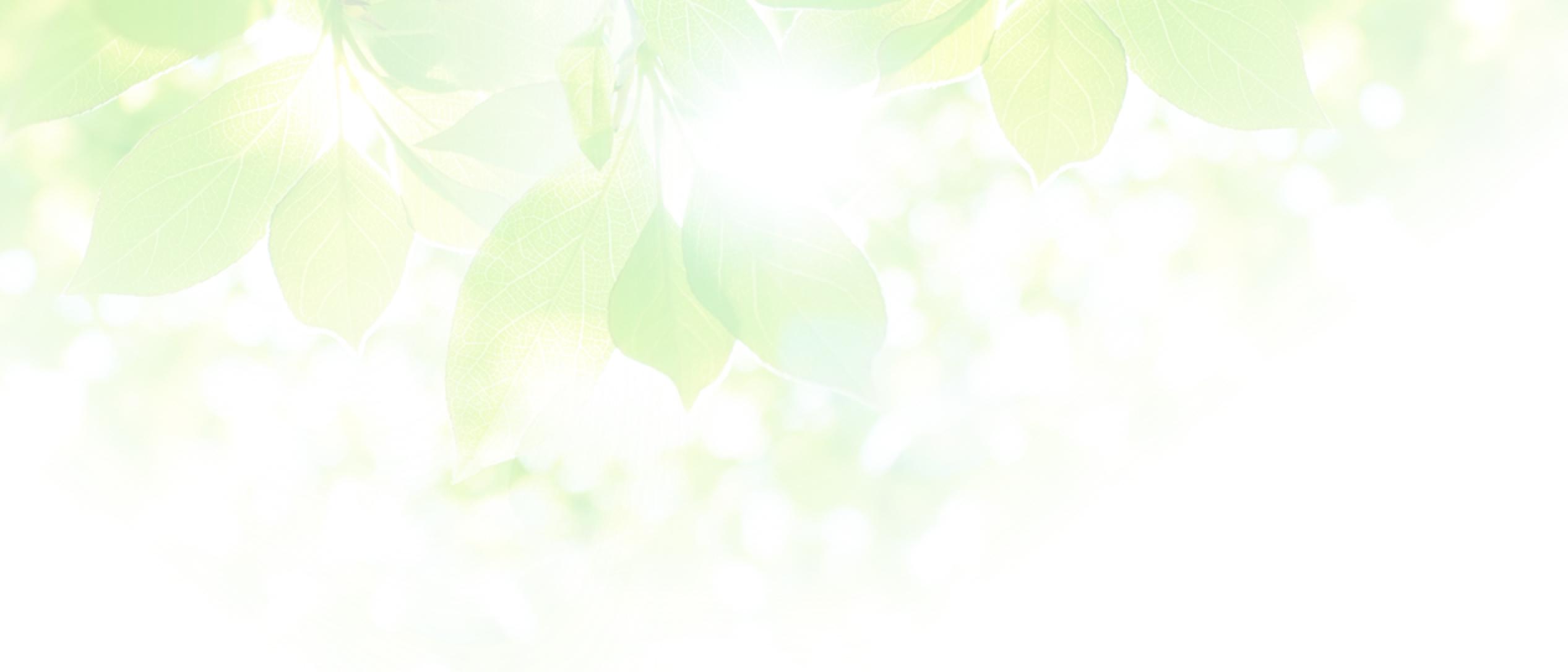 背景：トラストウィルサポート協会とは