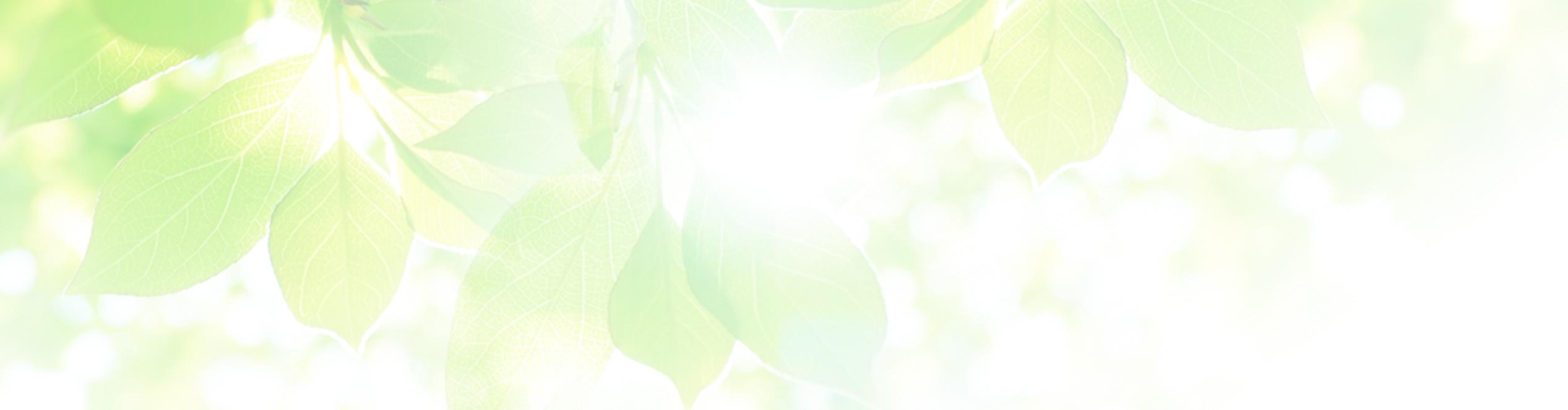 背景：会員登録はこちら